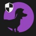 Profile picture d-tier.bsky.social