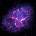 Profile picture yaypurple.bsky.social