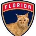 Profile picture catsfan93.bsky.social