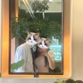 Profile picture ragdoll2521.bsky.social