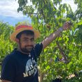 Profile picture siddsubra.bsky.social