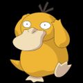 Profile picture comaducking.bsky.social