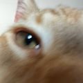 Profile picture ts0l.bsky.social