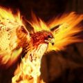 Profile picture firehawkjw.bsky.social
