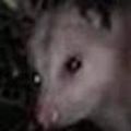 Profile picture aliwhytho.bsky.social