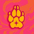 Profile picture t0ughfluff.bsky.social