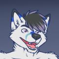 Profile picture chippthefox.bsky.social