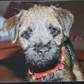 Profile picture helgenielsen.bsky.social