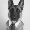 Profile picture jbarry.bsky.social