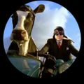 Profile picture putteb3.bsky.social