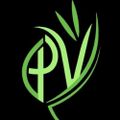 Profile picture positivibes.bsky.social