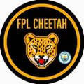 Profile picture fplcheetah.bsky.social