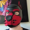 Profile picture pupfluke.com