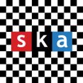 Profile picture skankingdept.bsky.social