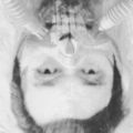Profile picture seijunyoshihama.bsky.social