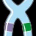 Profile picture blindspotbio.bsky.social