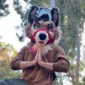 Profile picture doggeddapper.bsky.social