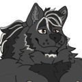 Profile picture shadowwolfen.bsky.social