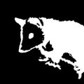 Profile picture norudied.bsky.social