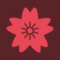 Profile picture hanafuda.report