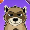 Profile picture nikraccoom.bsky.social