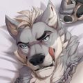 Profile picture vincewuff.bsky.social