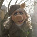 Profile picture tinyarchives.bsky.social