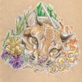 Profile picture twiningtree.bsky.social