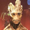 Profile picture groot27.bsky.social