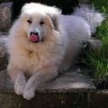 Profile picture tazzy76.bsky.social