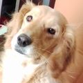 Profile picture standplaatskrk.pl