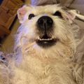 Profile picture jonnymac3000.bsky.social