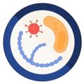 Profile picture meiodecultura.bsky.social
