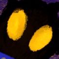 Profile picture vivifromspace.bsky.social