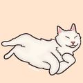 Profile picture biancosayshello.bsky.social