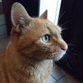 Profile picture mikika.bsky.social