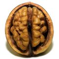 Profile picture liminiacal.bsky.social