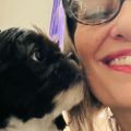 Profile picture itsalicat.bsky.social