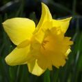 Profile picture snifftheair.bsky.social