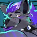 Profile picture hyenight.bsky.social