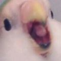 Profile picture danhominem.bsky.social