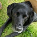 Profile picture freddyfrog.bsky.social
