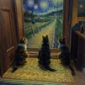 Profile picture the3mouseketeers.bsky.social