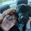 Profile picture melindagordon.bsky.social