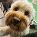 Profile picture natepatate.bsky.social