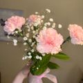 Profile picture mirandababy.bsky.social