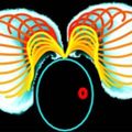 Profile picture micromotility.bsky.social