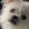 Profile picture cmackin10.bsky.social