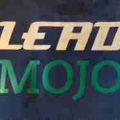 Profile picture leadmojo.bsky.social