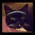 Profile picture alexbaobab.bsky.social
